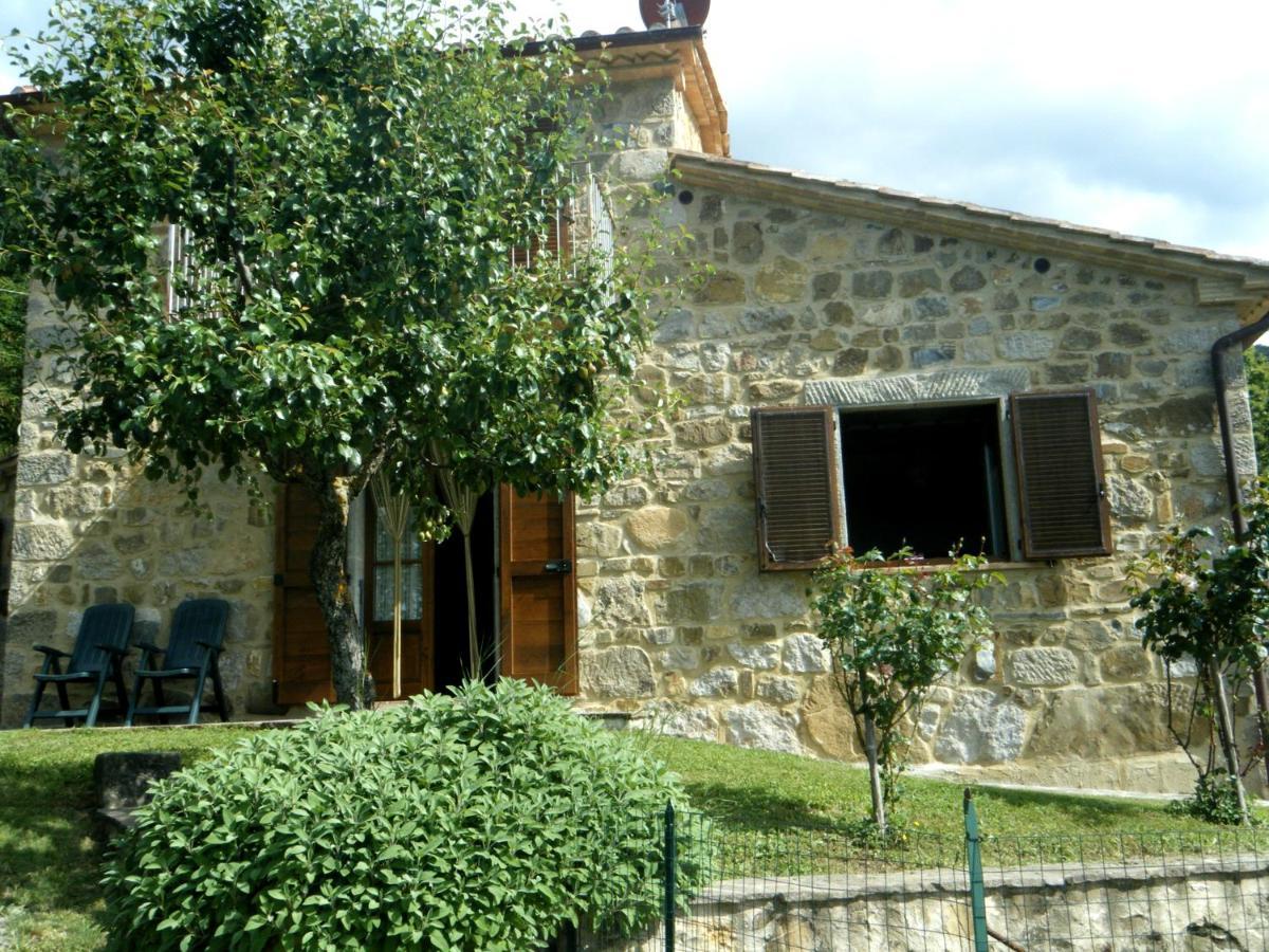Agriturismo Ombianco Seggiano Exterior foto
